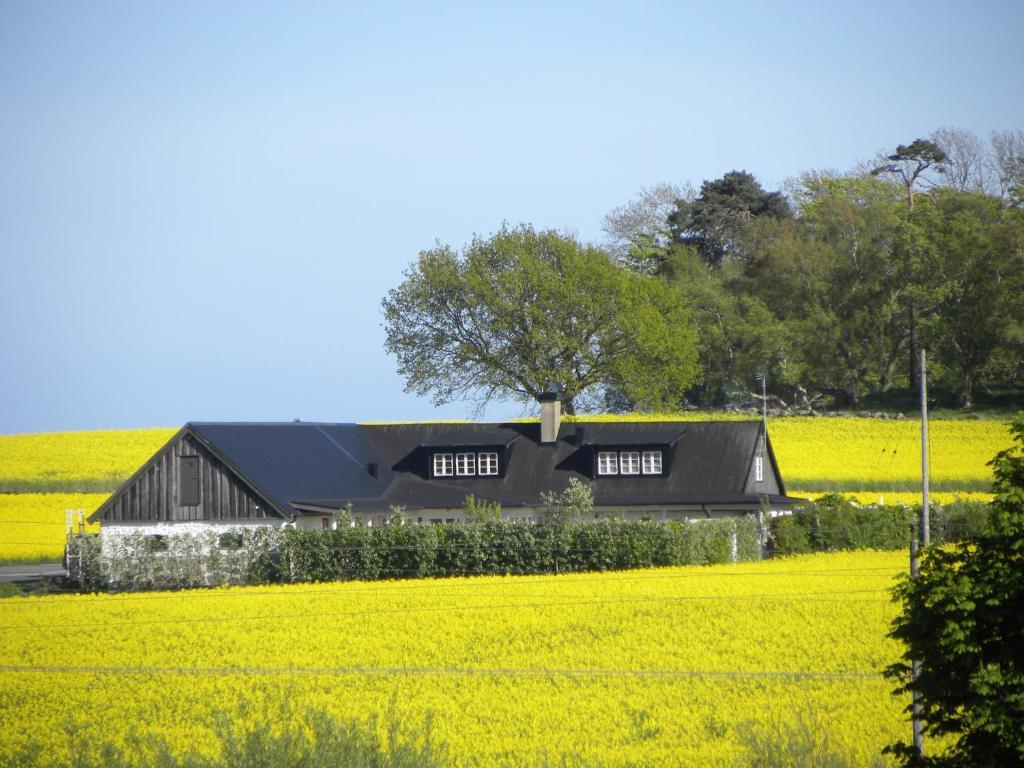Glimminge Bed & Breakfast Simrishamn Εξωτερικό φωτογραφία